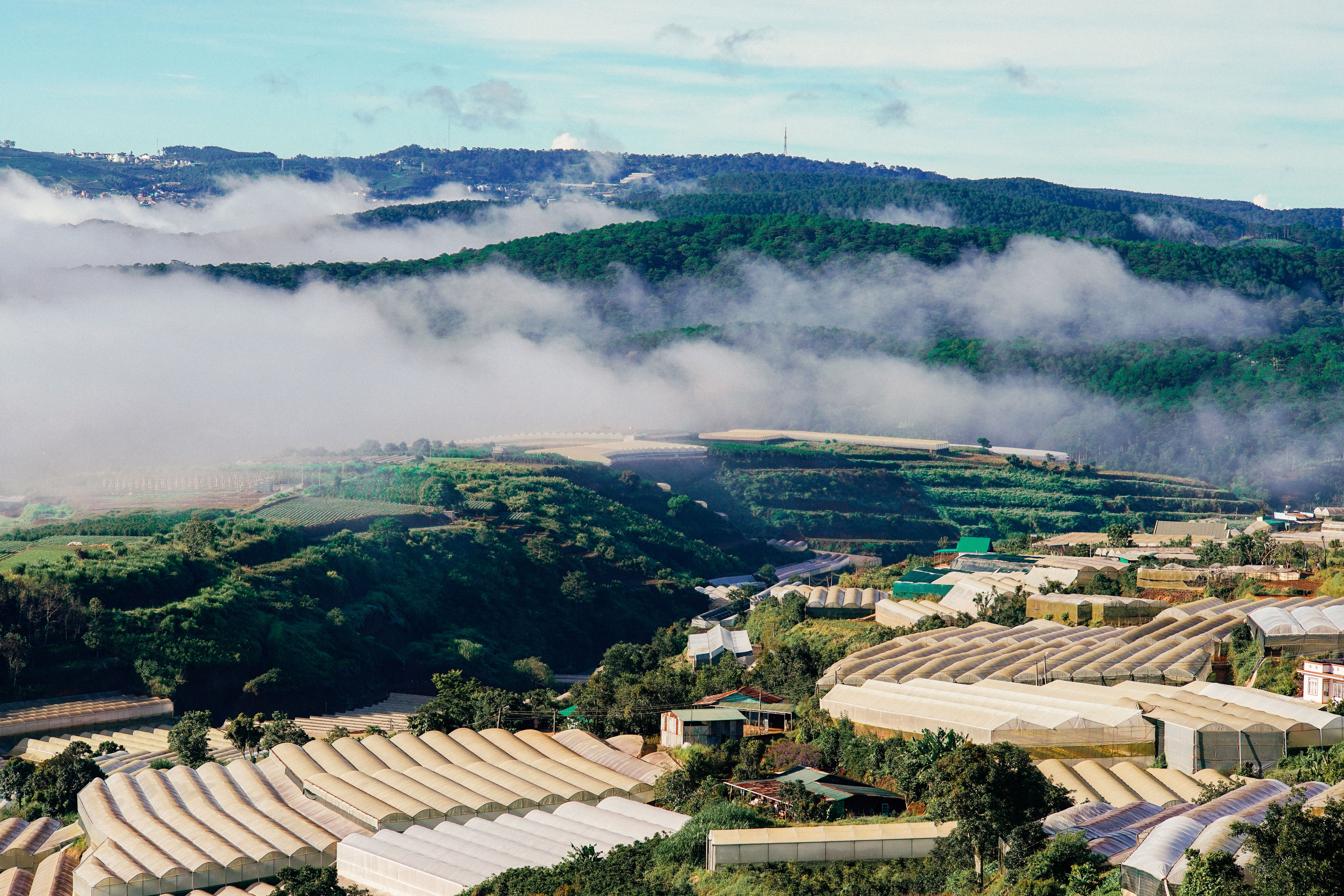 Minh họa trang thông tin chi tiết